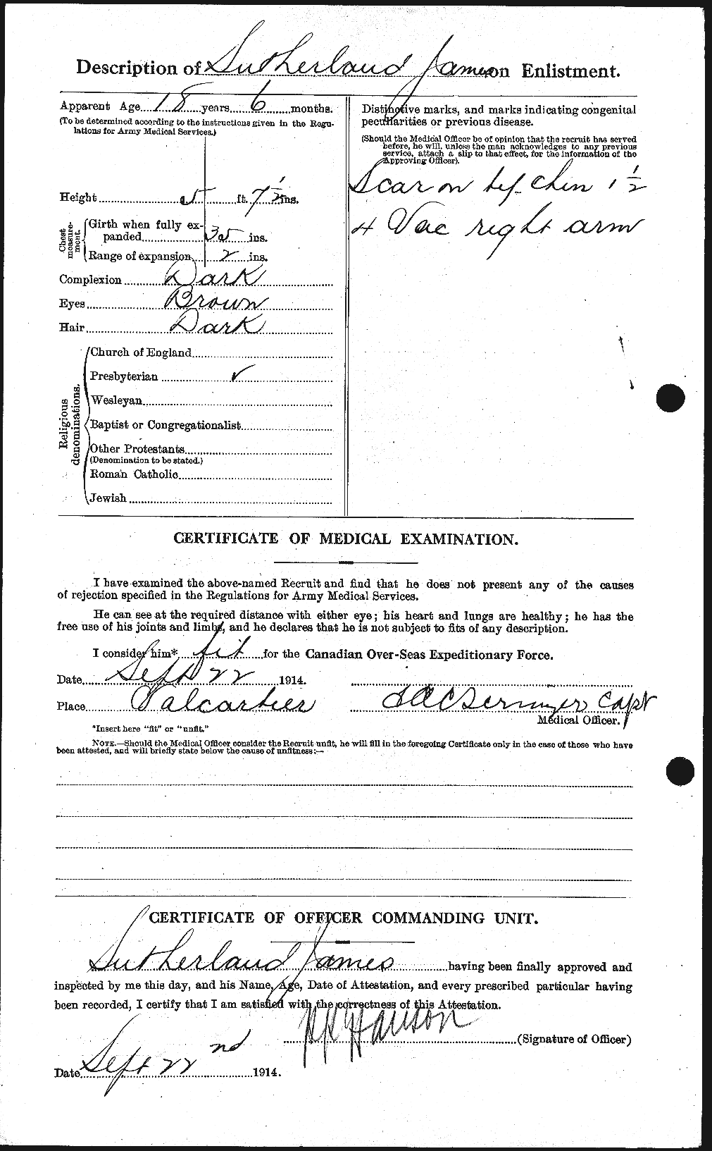 Personnel Records of the First World War - CEF 124774b