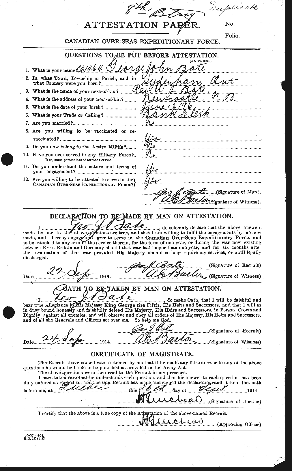 Personnel Records of the First World War - CEF 228102a