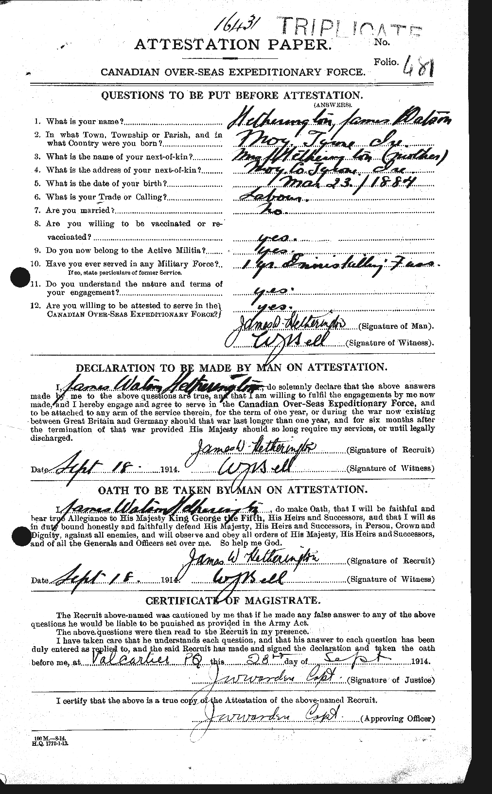 Personnel Records of the First World War - CEF 390703a