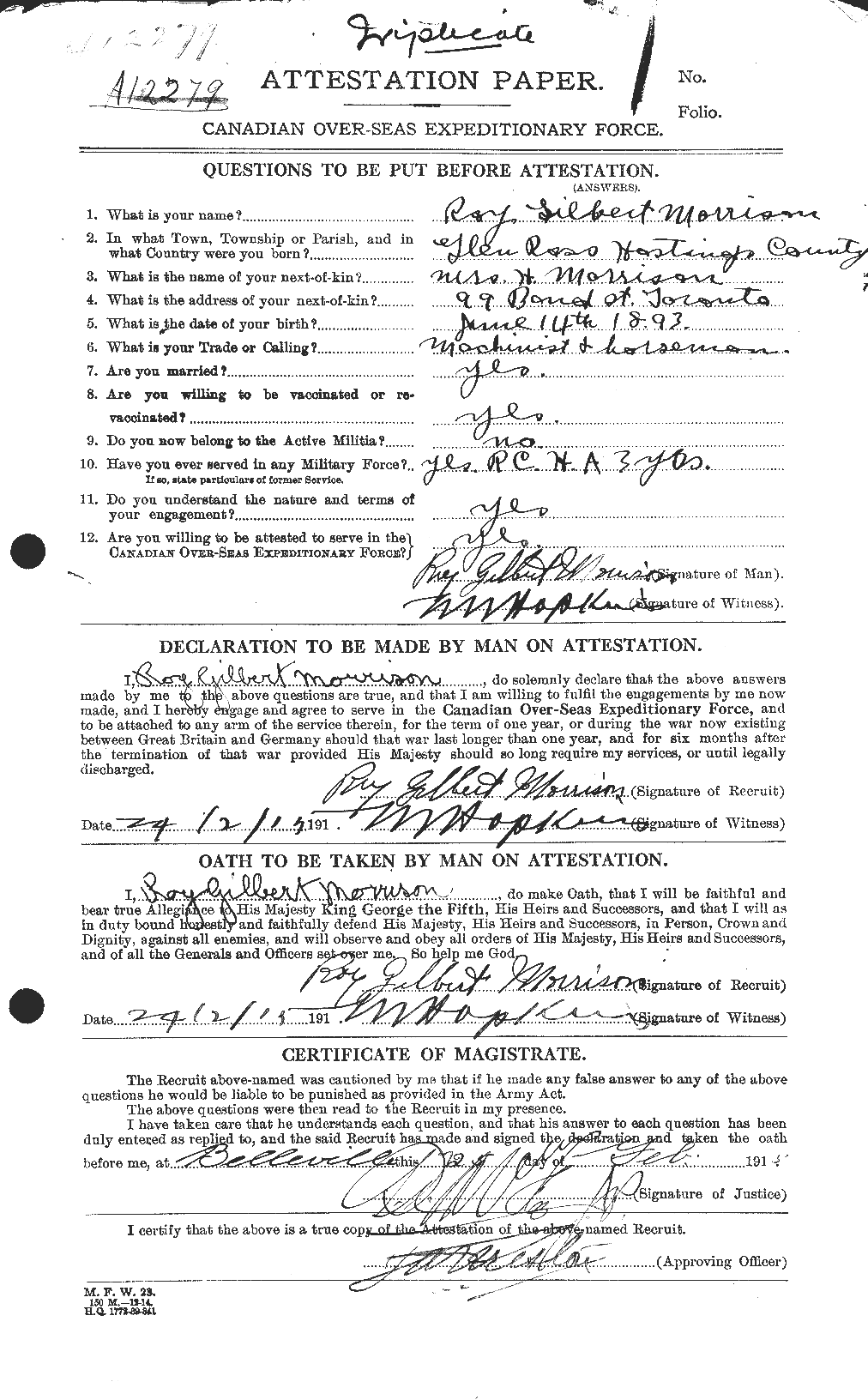 Personnel Records of the First World War - CEF 509133a