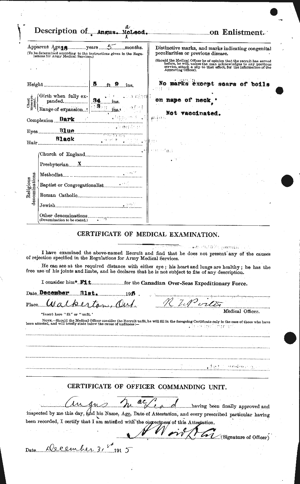 Personnel Records of the First World War - CEF 537838b