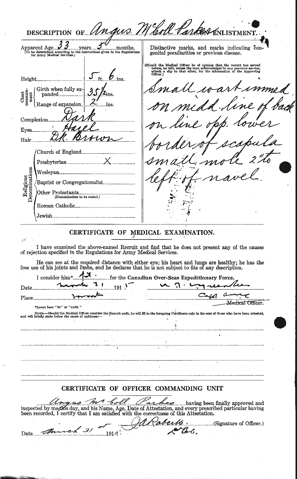 Personnel Records of the First World War - CEF 564999b