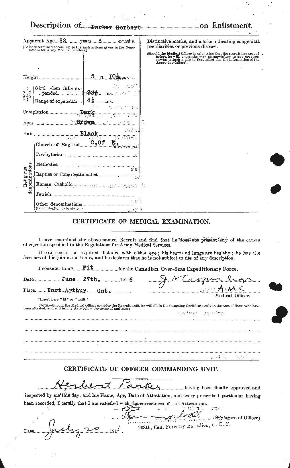 Personnel Records of the First World War - CEF 565367b