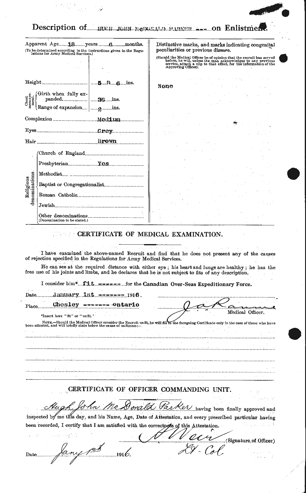 Personnel Records of the First World War - CEF 565399b