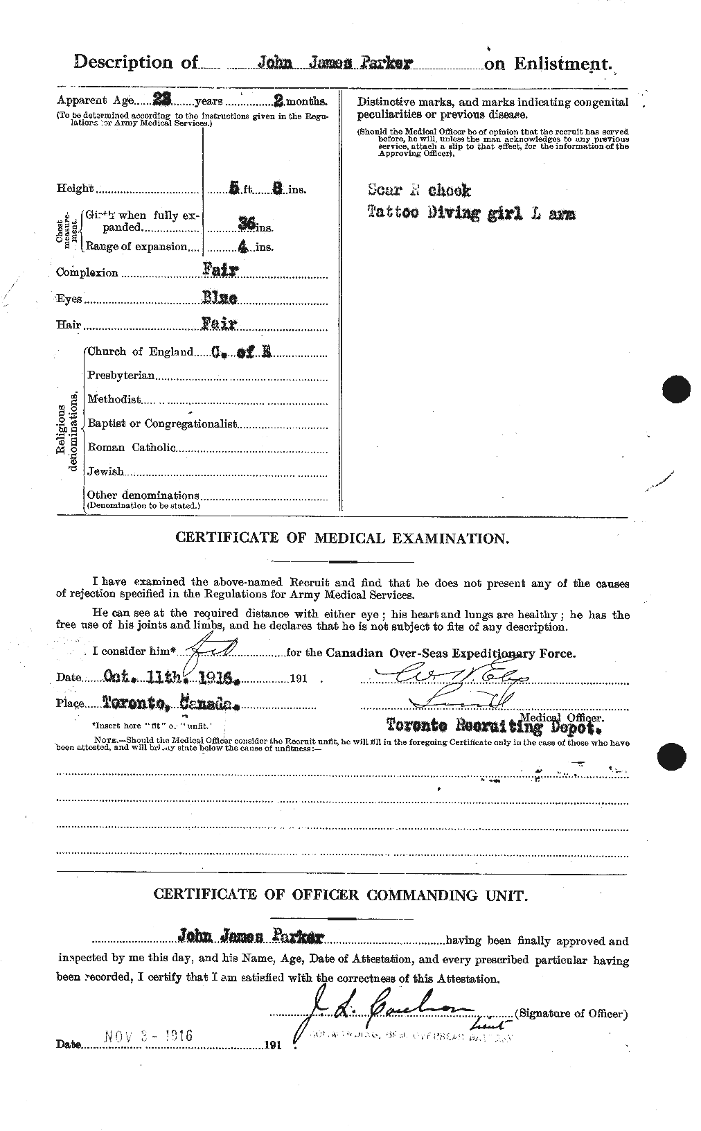 Personnel Records of the First World War - CEF 565479b
