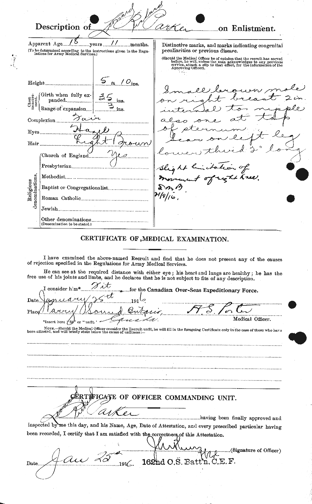 Personnel Records of the First World War - CEF 565528b