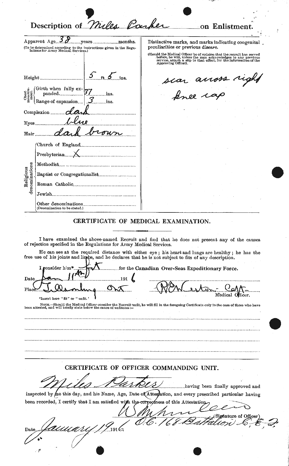 Personnel Records of the First World War - CEF 565547b