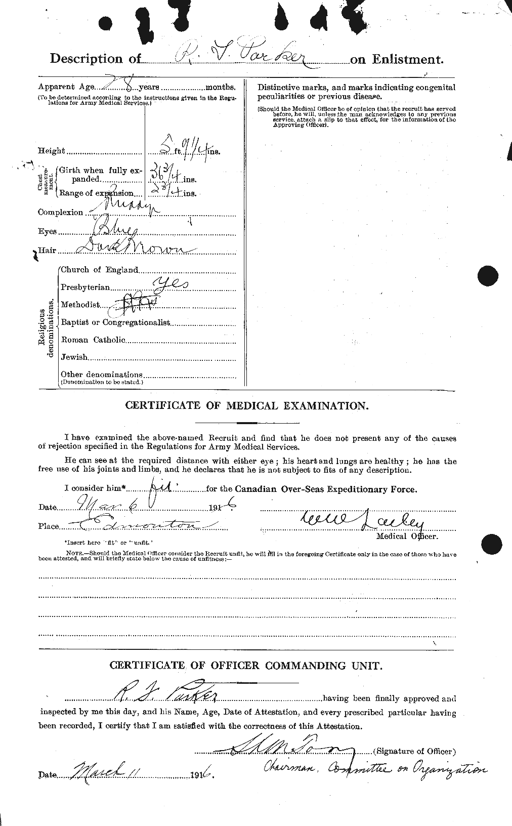 Personnel Records of the First World War - CEF 565577b