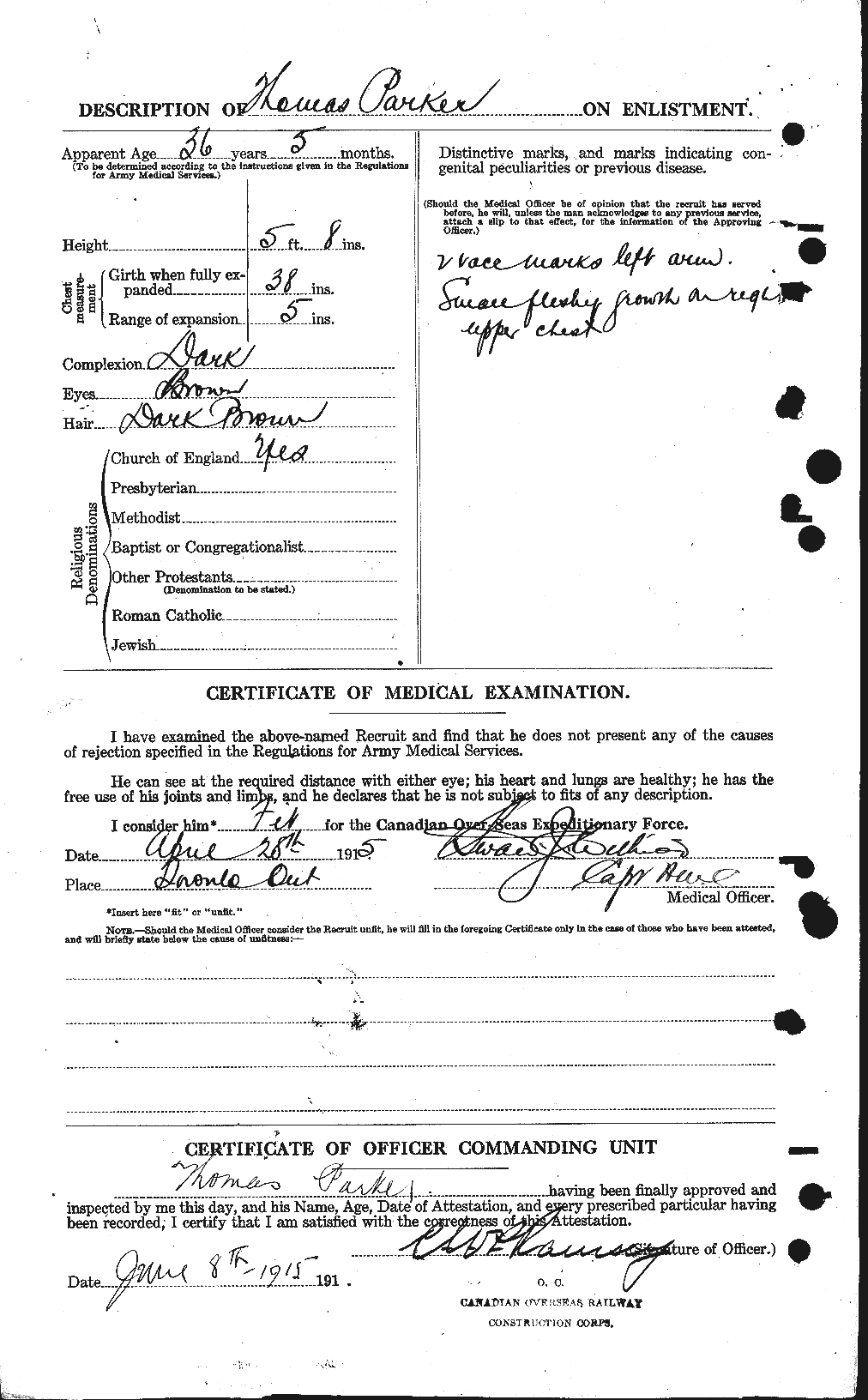 Personnel Records of the First World War - CEF 565656b