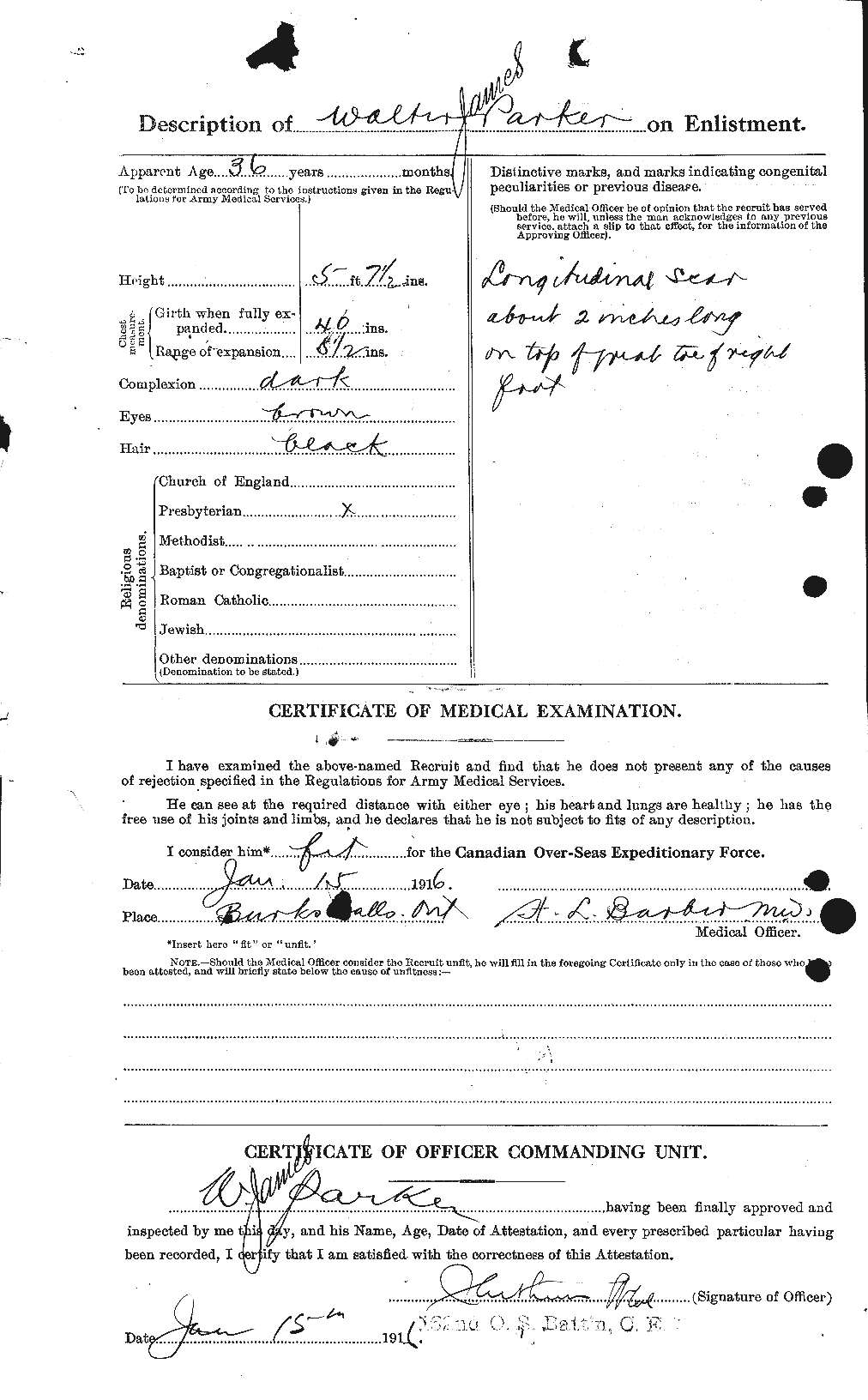 Personnel Records of the First World War - CEF 565695b