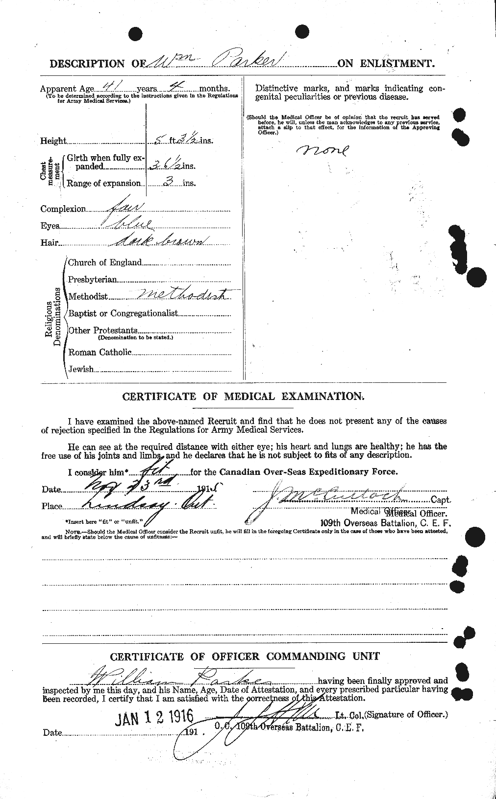 Personnel Records of the First World War - CEF 565719b