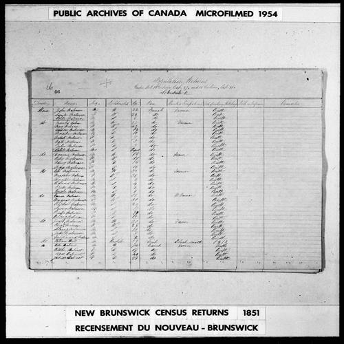 Digitized page of Census of 1851 (Canada East, Canada West, New Brunswick and Nova Scotia), Page number 46, for Fanian Malonson