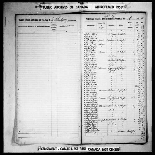 Digitized page of Census of 1851 (Canada East, Canada West, New Brunswick and Nova Scotia), Page number 49, for Sarah Livingstone