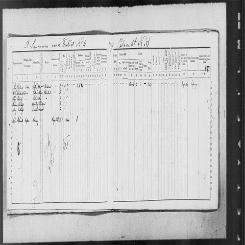 Digitized page of Census of 1861 (Canada East, Canada West, Prince Edward Island, New Brunswick and Nova Scotia), Page number 647, for Tomisina Kirkness