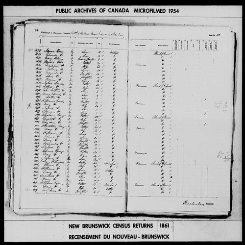 Digitized page of Census of 1861 (Canada East, Canada West, Prince Edward Island, New Brunswick and Nova Scotia), Page number 28, for David Oens
