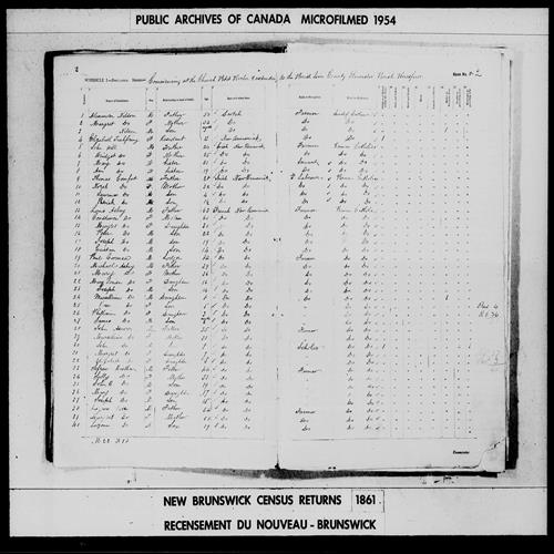 Digitized page of Census of 1861 (Canada East, Canada West, Prince Edward Island, New Brunswick and Nova Scotia), Page number 2, for Michael Ashley