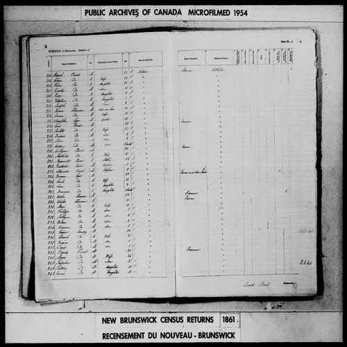 Digitized page of Census of 1861 (Canada East, Canada West, Prince Edward Island, New Brunswick and Nova Scotia), Page number 6, for Romain Ligir