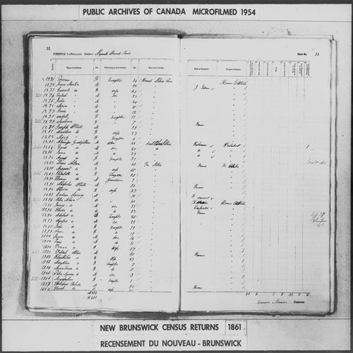 Digitized page of Census of 1861 (Canada East, Canada West, Prince Edward Island, New Brunswick and Nova Scotia), Page number 32, for Viktol Allan