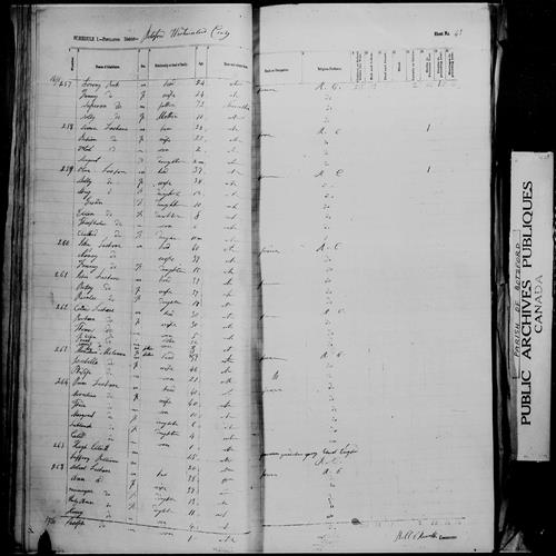 Digitized page of Census of 1861 (Canada East, Canada West, Prince Edward Island, New Brunswick and Nova Scotia), Page number 43, for Prim Leshare