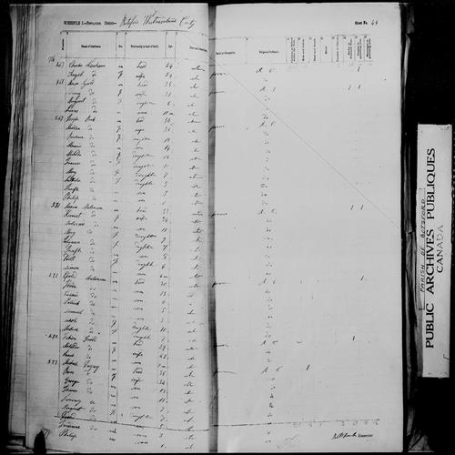 Digitized page of Census of 1861 (Canada East, Canada West, Prince Edward Island, New Brunswick and Nova Scotia), Page number 44, for Fabion Goold