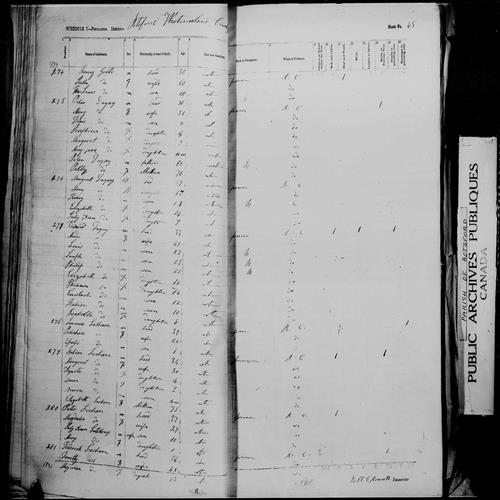 Digitized page of Census of 1861 (Canada East, Canada West, Prince Edward Island, New Brunswick and Nova Scotia), Page number 45, for Larrence Leshane