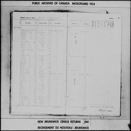 Digitized page of Census of 1861 (Canada East, Canada West, Prince Edward Island, New Brunswick and Nova Scotia), Page number 43, for Pollet Connell
