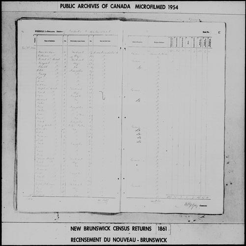 Digitized page of Census of 1861 (Canada East, Canada West, Prince Edward Island, New Brunswick and Nova Scotia), Page number 67, for David B White
