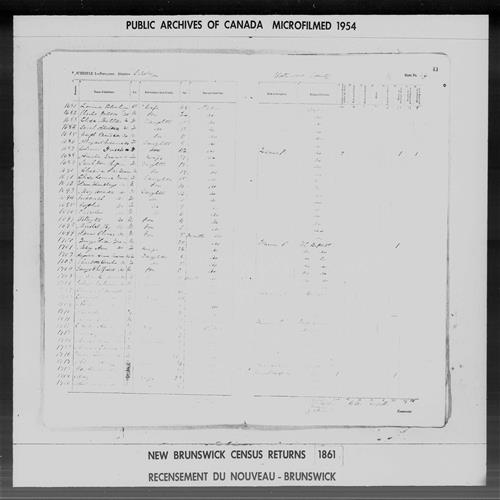 Digitized page of Census of 1861 (Canada East, Canada West, Prince Edward Island, New Brunswick and Nova Scotia), Page number 43, for Amelia Graves