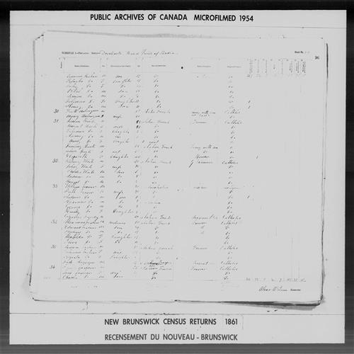 Page numérisée du Recensement de 1861 (Canada-Est, Canada-Ouest, Île-du-Prince-Édouard, Nouveau-Brunswick et Nouvelle-Écosse), Page numéro 96, pour Simeon Leshean