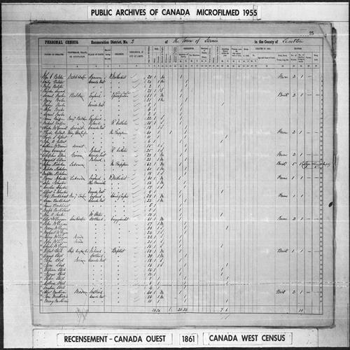 Digitized page of Census of 1861 (Canada East, Canada West, Prince Edward Island, New Brunswick and Nova Scotia), Page number 25, for Alexr Mackenzie