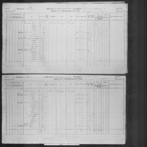 Digitized page of Census of Canada, 1871, Page number 60, for Pierre Valois