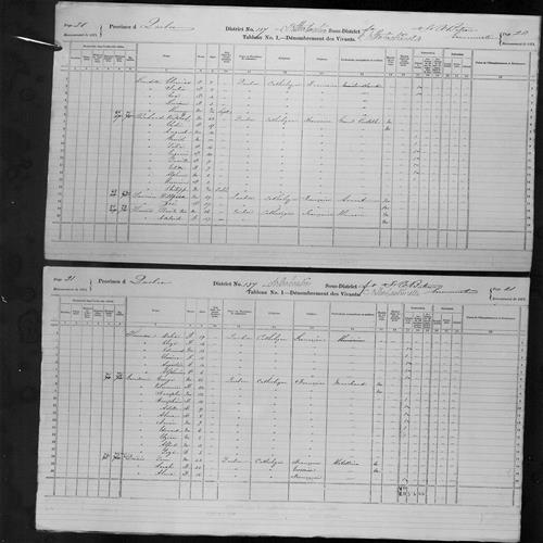 Digitized page of Census of Canada, 1871, Page number 20, for Willfrid Laurier