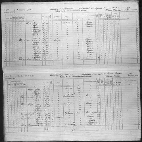 Digitized page of Census of Canada, 1871, Page number 79, for William Cinnamon