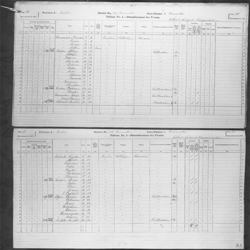 Digitized page of Census of Canada, 1871, Page number 71, for Michel Autotte