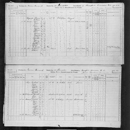 Digitized page of Census of Canada, 1871, Page number 22, for Cesarre Boudreau