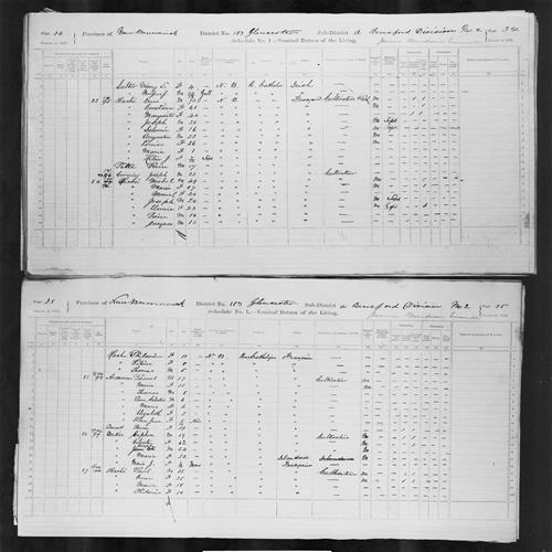Digitized page of Census of Canada, 1871, Page number 34, for Michel Haché