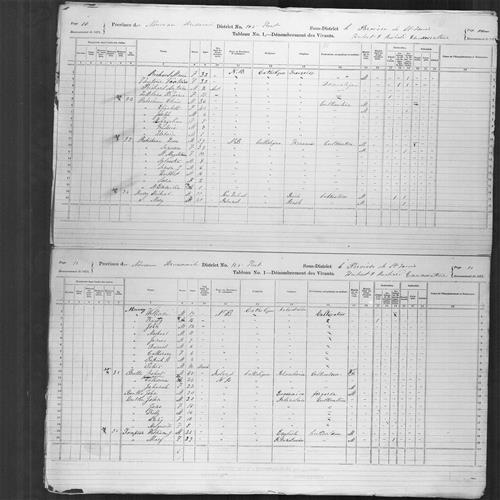 Digitized page of Census of Canada, 1871, Page number 10, for Lece Robicheau