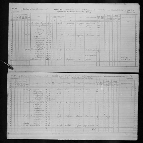 Digitized page of Census of Canada, 1871, Page number 39, for Dominic Brine