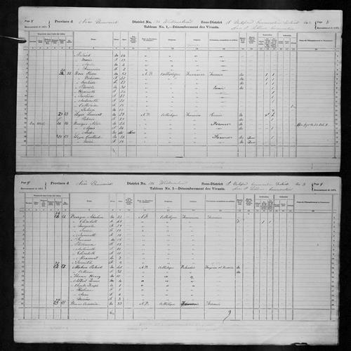 Digitized page of Census of Canada, 1871, Page number 8, for Noree Bourque