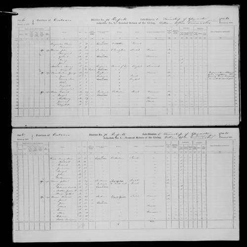 Digitized page of Census of Canada, 1871, Page number 60, for John Heron