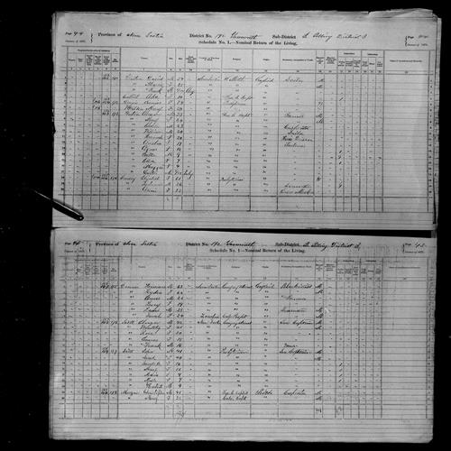 Digitized page of Census of Canada, 1871, Page number 45, for Heman Dennis