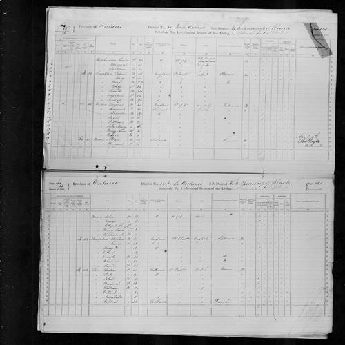 Digitized page of Census of Canada, 1871, Page number 13, for Celina Lampkin