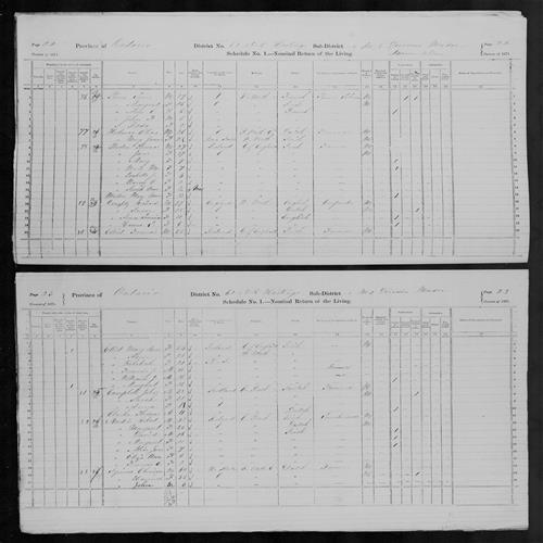 Digitized page of Census of Canada, 1871, Page number 23, for Eliza Ann Martin