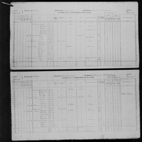 Digitized page of Census of Canada, 1871, Page number 21, for William A Dowler