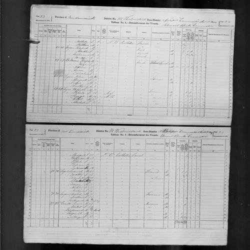 Digitized page of Census of Canada, 1871, Page number 22, for John Leger