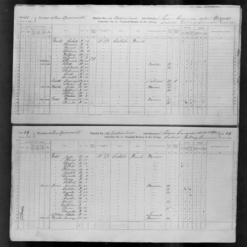Digitized page of Census of Canada, 1871, Page number 40, for Pollett Gould