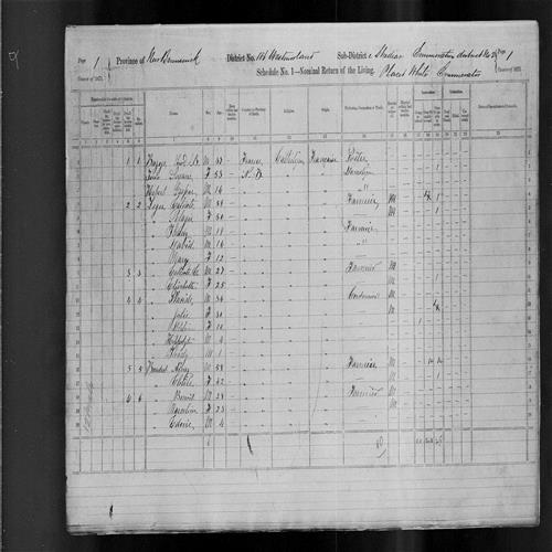 Digitized page of Census of Canada, 1871, Page number 1, for Placide Leger