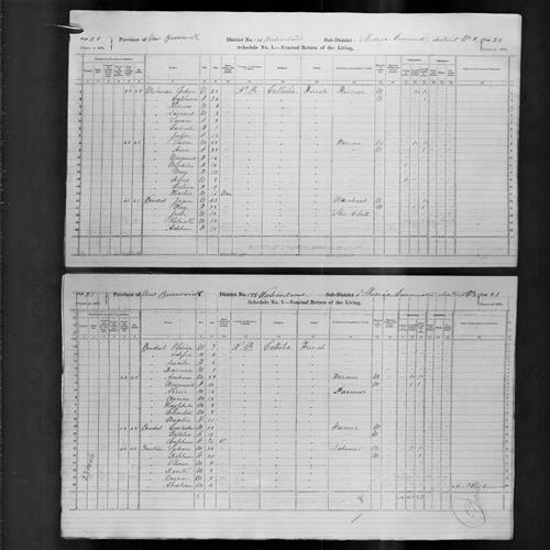 Digitized page of Census of Canada, 1871, Page number 20, for Jaque Boudrot
