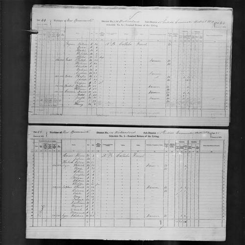 Digitized page of Census of Canada, 1871, Page number 45, for Placide Leblanc