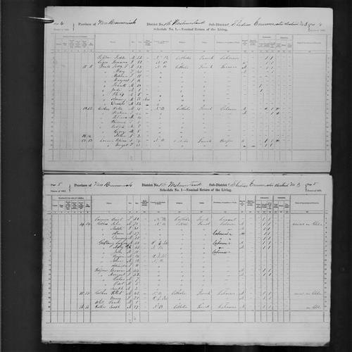 Digitized page of Census of Canada, 1871, Page number 5, for John Gothro